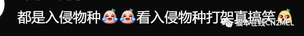 墨尔本CBD变成亚洲城<strong></p>
<p>澳洲华人</strong>，中国不战而胜！澳洲白人社媒掀起讨伐华人之热