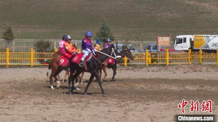 新疆首届伊犁马超级联赛鸣锣开赛