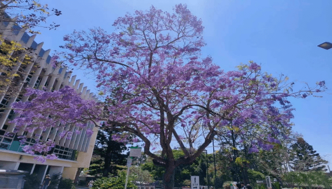 昆士兰大学济南见面会——澳洲留学之路从这里起航澳洲大学！