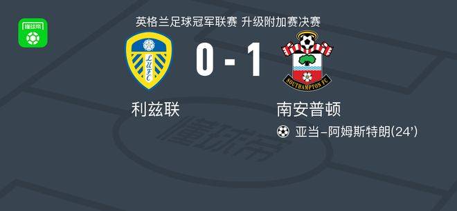 南安普顿1-0利兹联重返英超英超，亚当-阿姆斯特朗一剑封喉