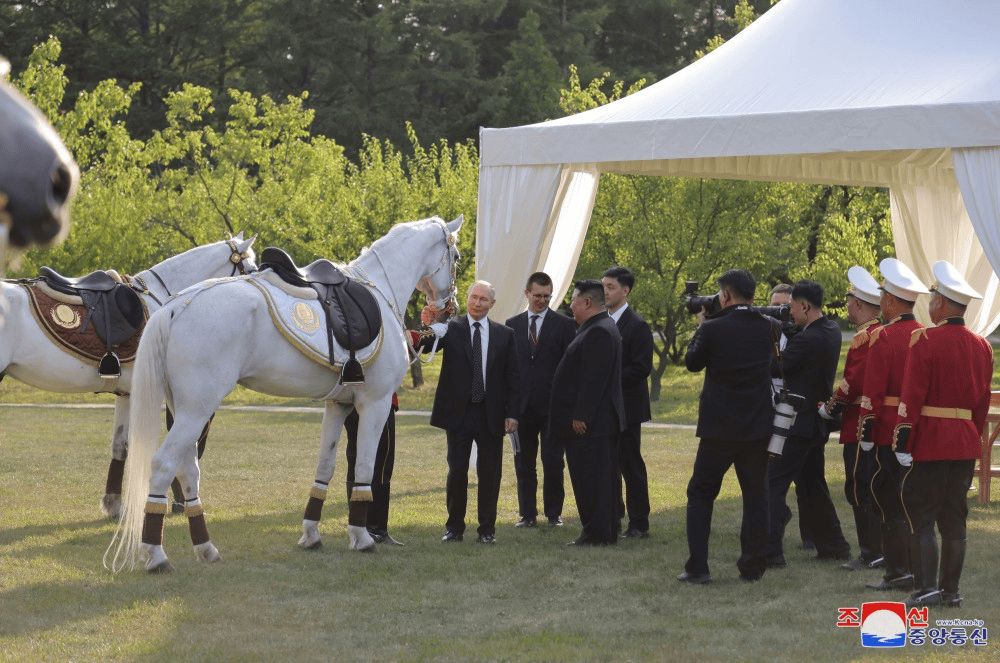 金正恩赠普京一对丰山犬