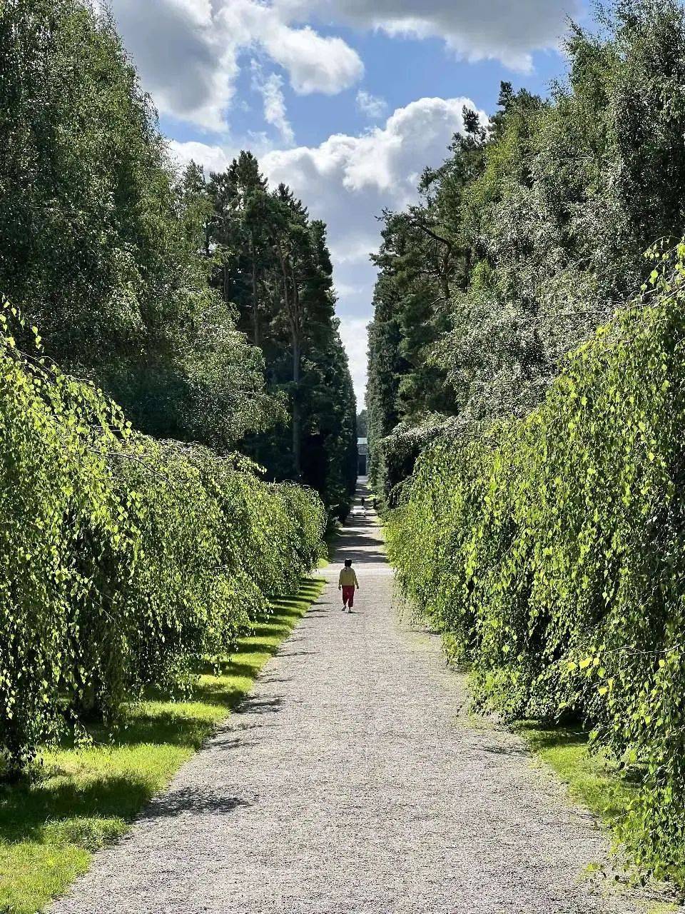 木头岛｜斯德哥尔摩旅行日记