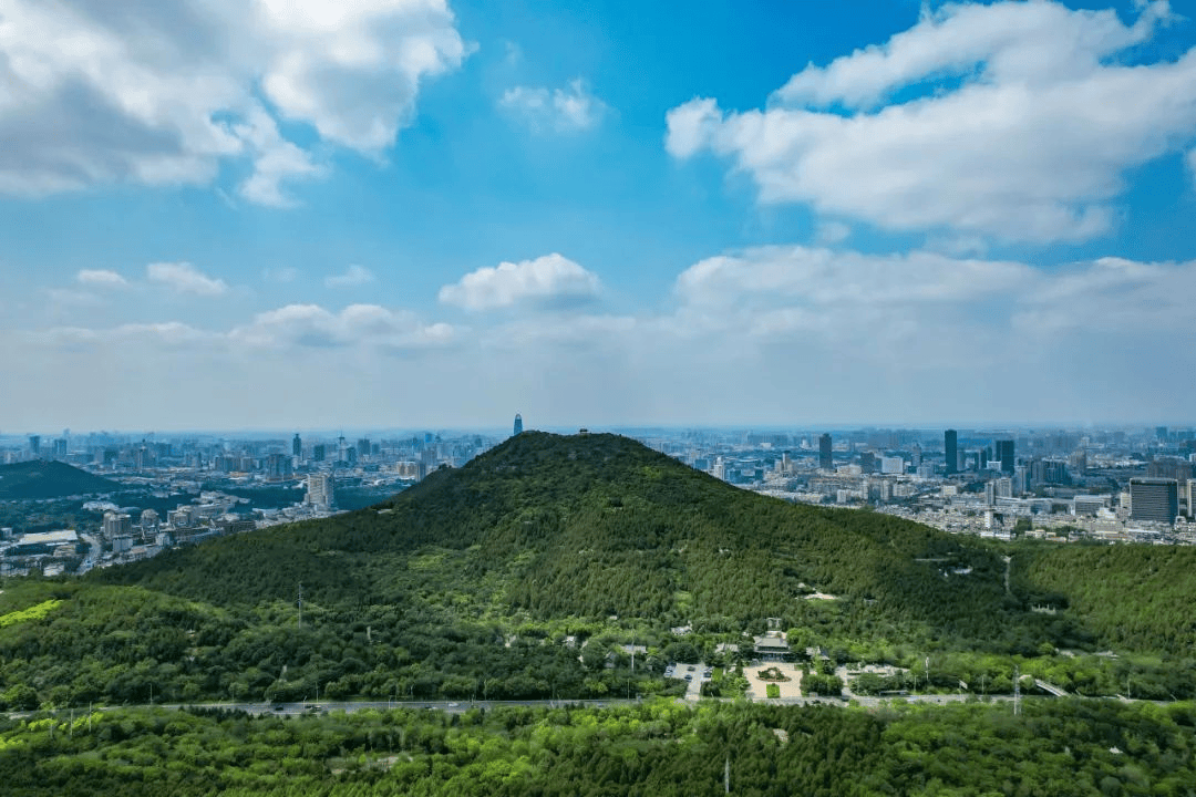 这一站奥运，济南！跟着奥运冠军，“打卡”大美历下