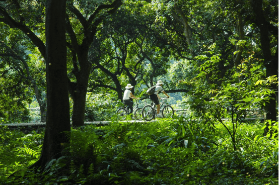 旅游四川·泸州 | 开学季：明星同款旅行路线旅行，三分钟带你get