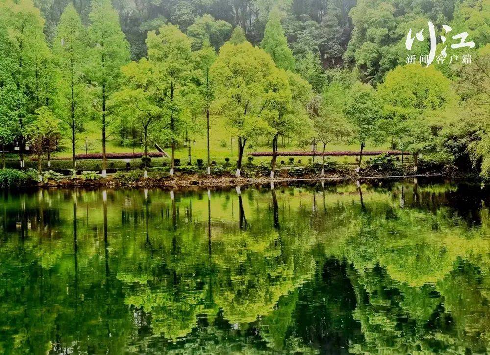 旅游四川·泸州 | 开学季：明星同款旅行路线旅行，三分钟带你get