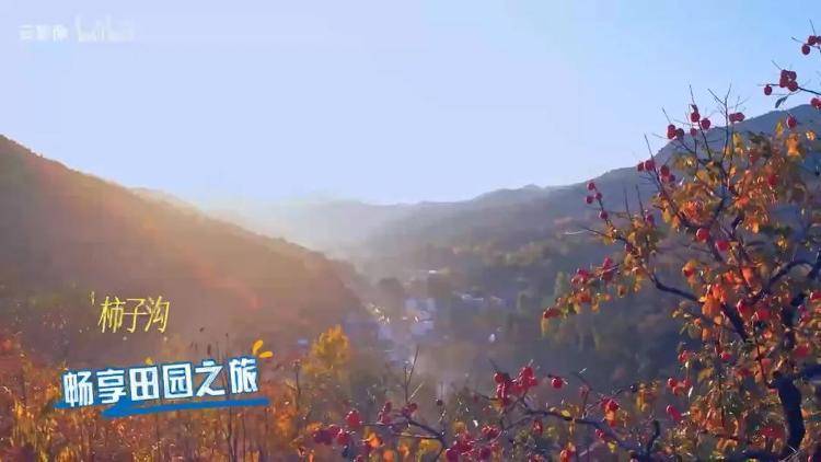 跑马+旅行丨潍坊文旅推出5条“跑马”专属体验游线路