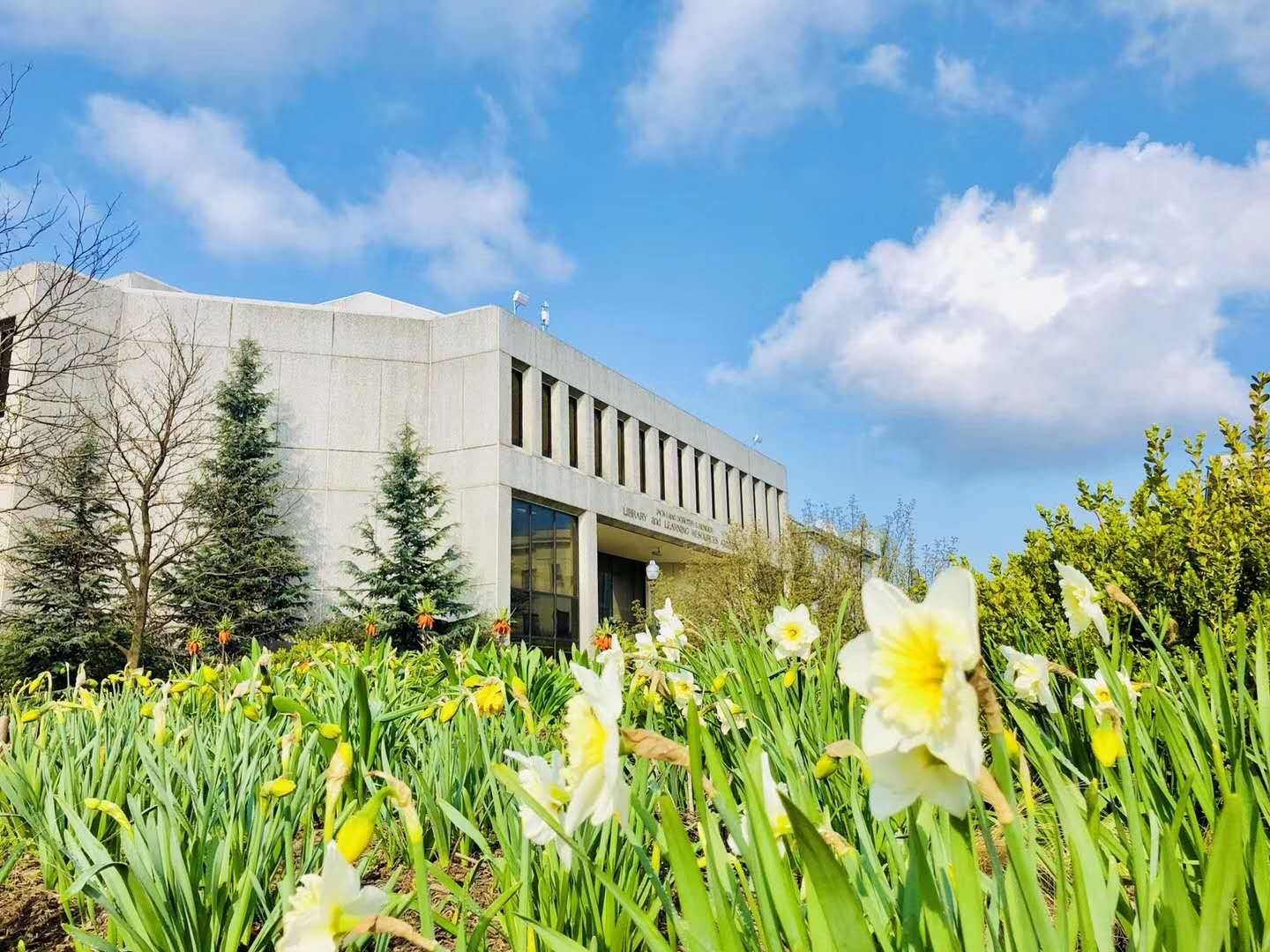 澳洲留学:澳洲留学名校推荐丨新南威尔士大学